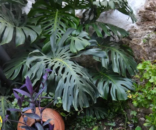 Apartment Casa Da Nono *