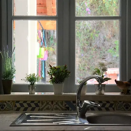 Casa Da Nono شقة كويمبرا