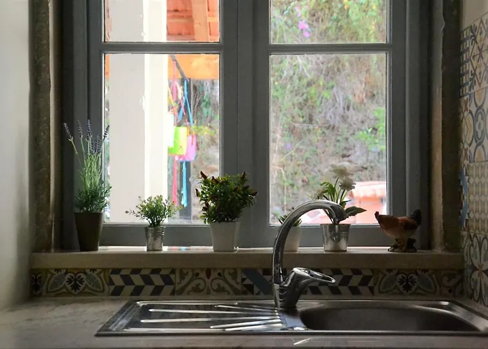 Casa Da Nono 公寓 科英布拉